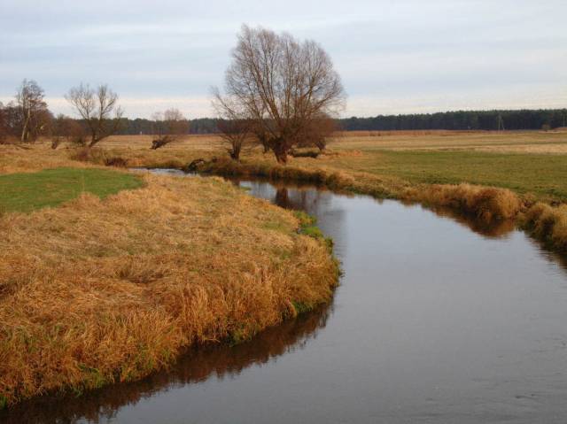A view of the Myśla River