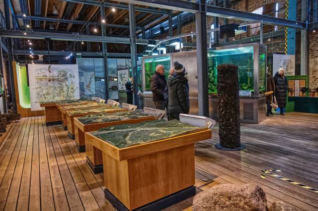 Śladami łabędzia krzykliwego – wyjazd do Criewen