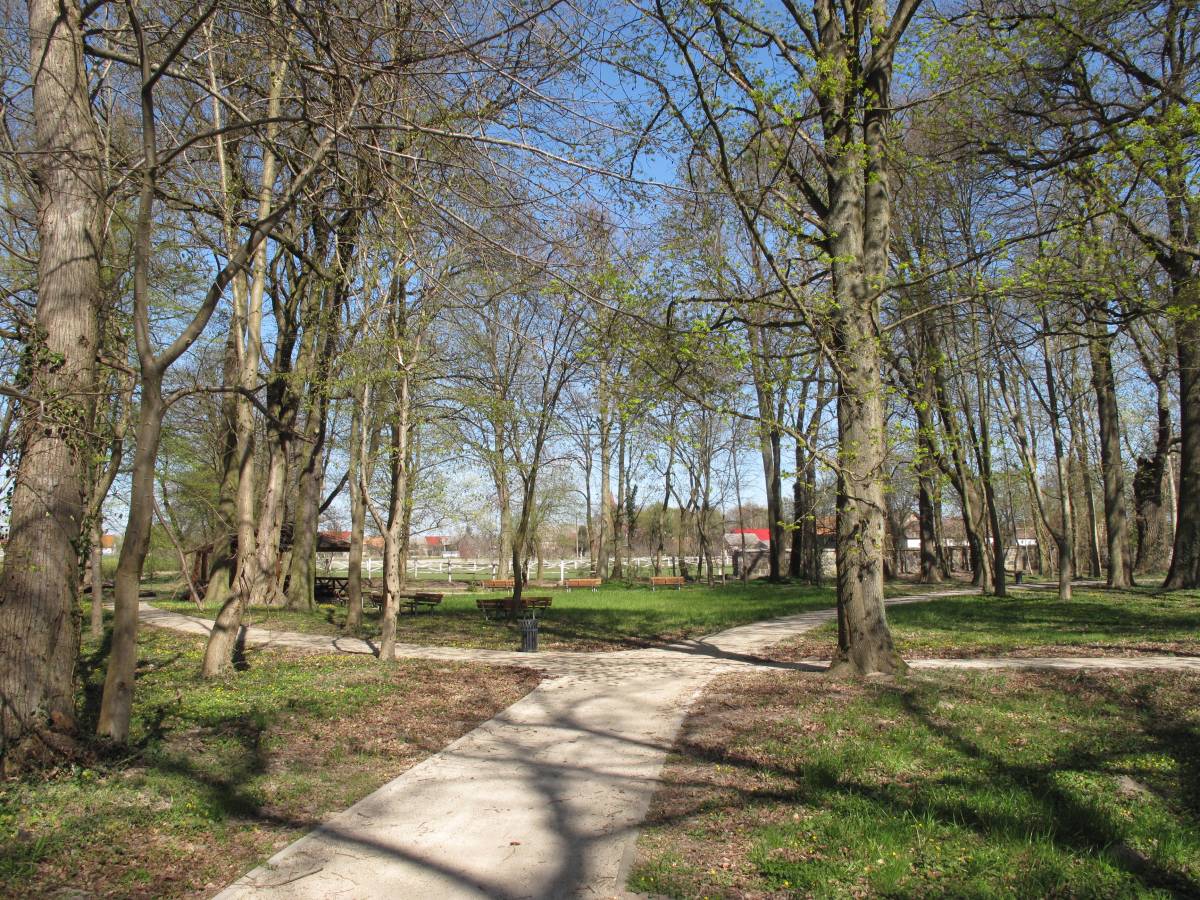 Palace-park complex - Dębno